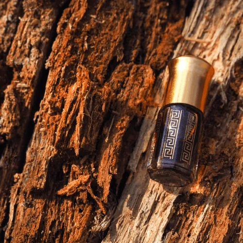 EEO Pic 1 _20240905_145432_0000